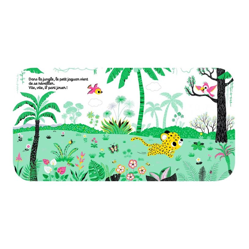 9782092592069- Regarde dans la jungle - dès 6 mois-P_405256510_2-1