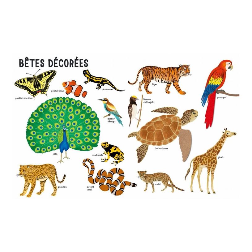 9782092495087-Belles bêtes - Dès 6 mois-P_405256516_5-4