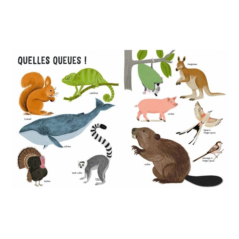 9782092495087-Belles bêtes - Dès 6 mois-P_405256516_9-2