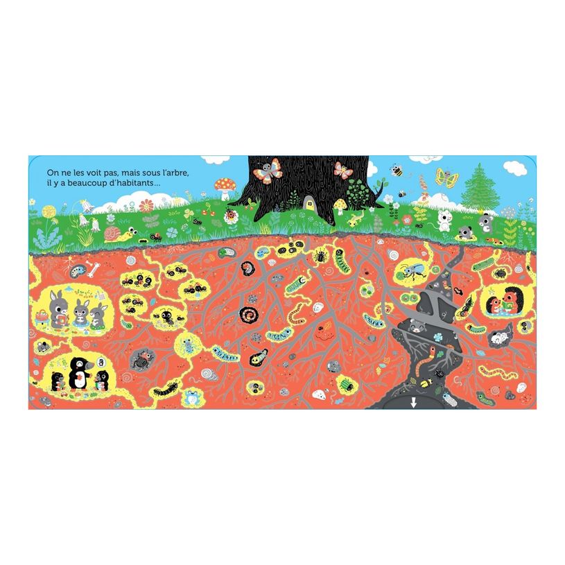 9782095024383-Promenade dans l'arbre - livre animé pour les bébés - dès 6 mois-P_405256521_5-5