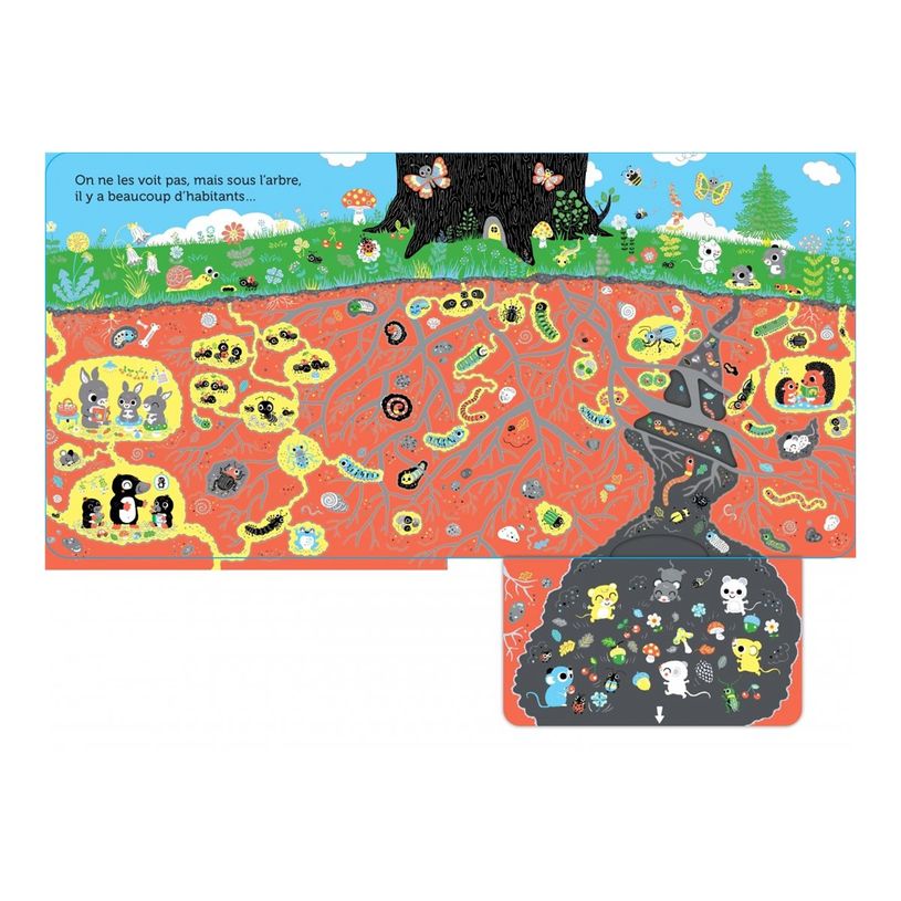 9782095024383-Promenade dans l'arbre - livre animé pour les bébés - dès 6 mois-P_405256521_8-6
