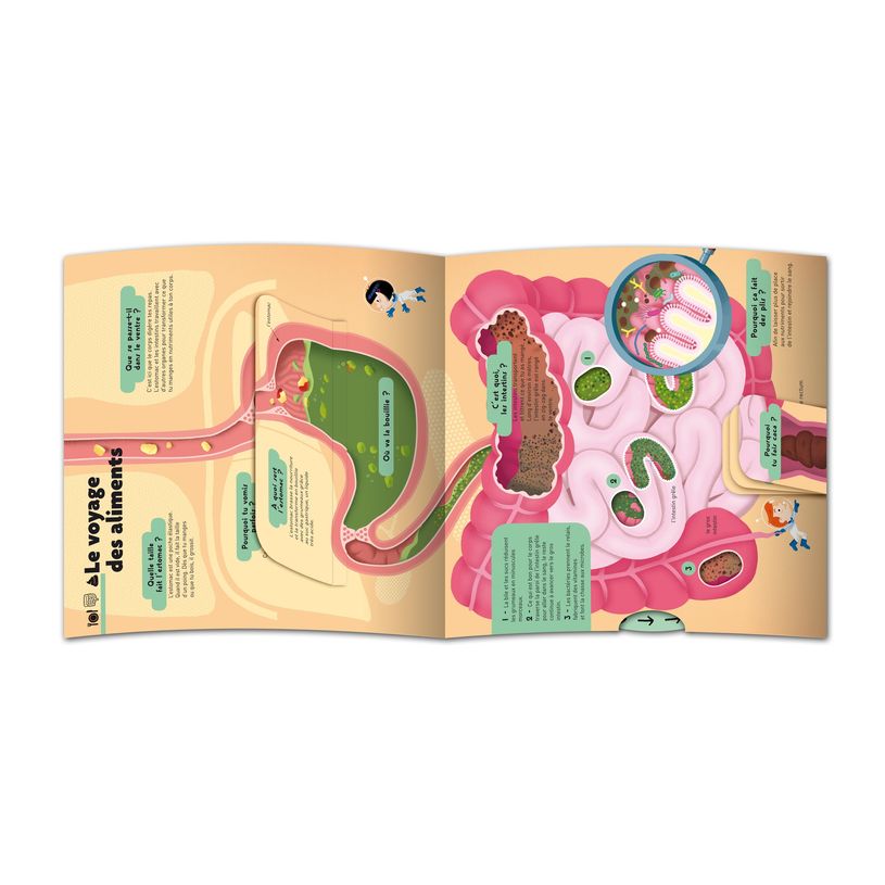 9782092585610-Le grand Kididoc du corps humain - Livre pop-up - dès 4 ans-P_405259519_5-2