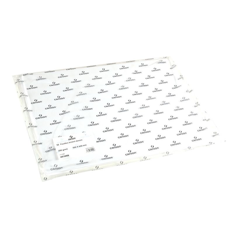 3148954510996-Canson Bristol - Papier à dessin - feuille 50 x 65 cm - 250 g/m² - blanc-P_79349292_1-0