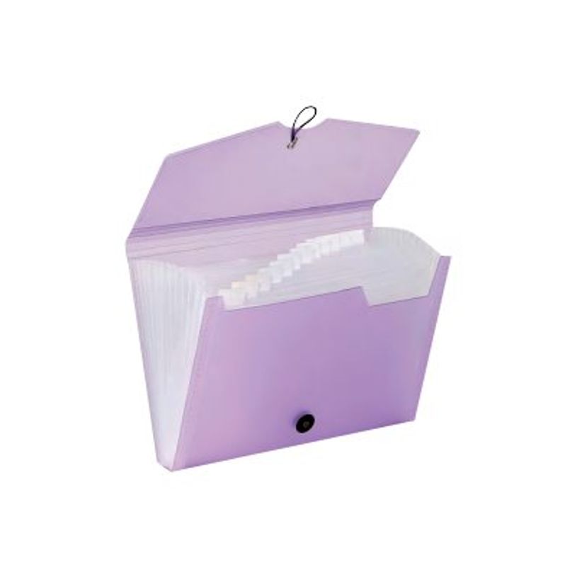 3135250968897-Viquel Propysoft - Classeur ménager (valisette trieur) 12 onglets - disponible dans diffé-P_79367420_1-0