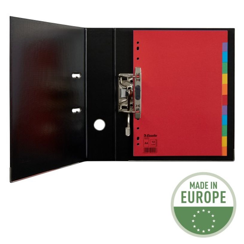 2012348120355-Esselte - Intercalaire - 12 positions - pour A4 (210 x 297 mm) - à onglets-P_79376785_2-1