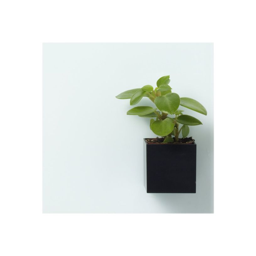 5708573239517-Naga - Pot à marqueurs aimanté - carré 6 x 6 x 6 cm-P_79381853_3-2