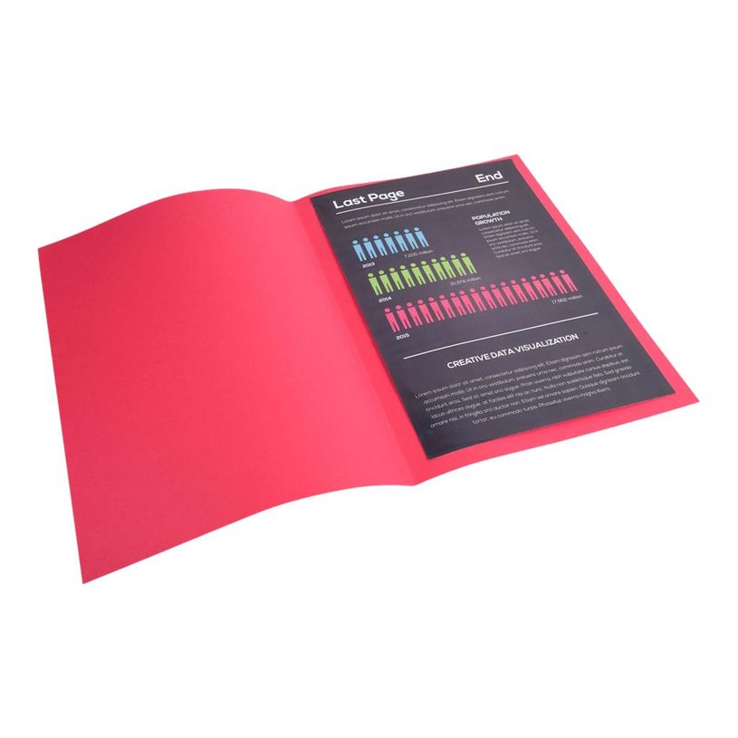 3288582100166-Exacompta Rock"s - 100 Chemises - 210 gr - pour 200 feuilles - framboise-P_79417667_5-3