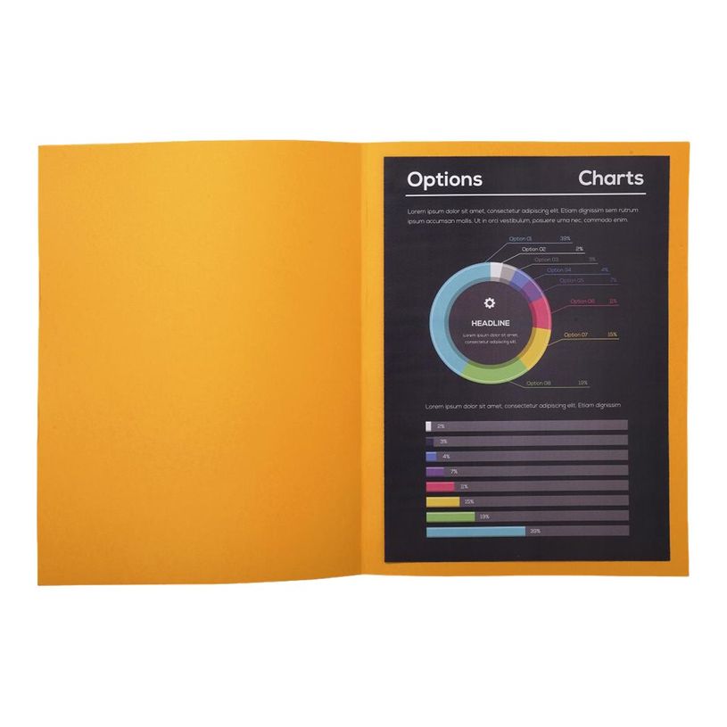 3288582100265-Exacompta Rock"s - 100 Chemises - 210 gr - pour 200 feuilles - orange clair-P_79417669_3-1