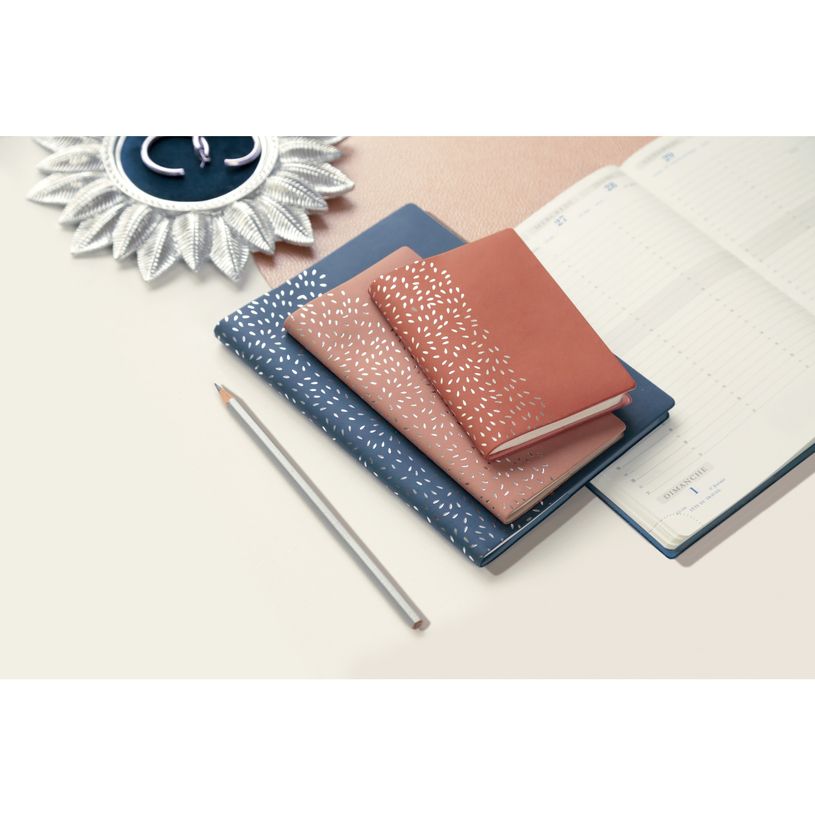 3660942065528-Agenda de poche Amélie Espace 17 - 1 semaine sur 1 page + 1 page de notes - 9 x 17,5 cm - disponible dans diff-P_79438235_5-3