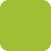 https://dxbyzx5id4chj.cloudfront.net/pub/media/catalog/attribute/product/couleur_papier/vert_menthe.jpg