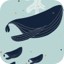 baleine