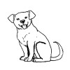 chien