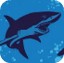 requin